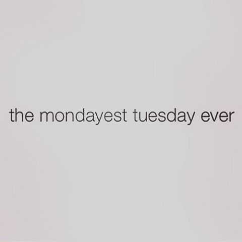 Funny Quotes About Tuesdays