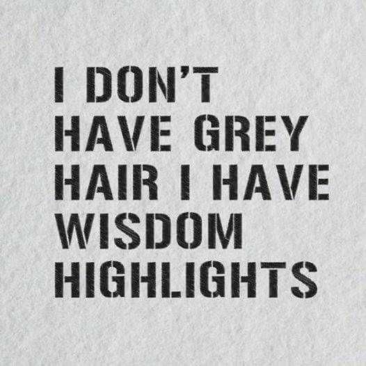 Snappy Funny Memes Wisdom Highlights