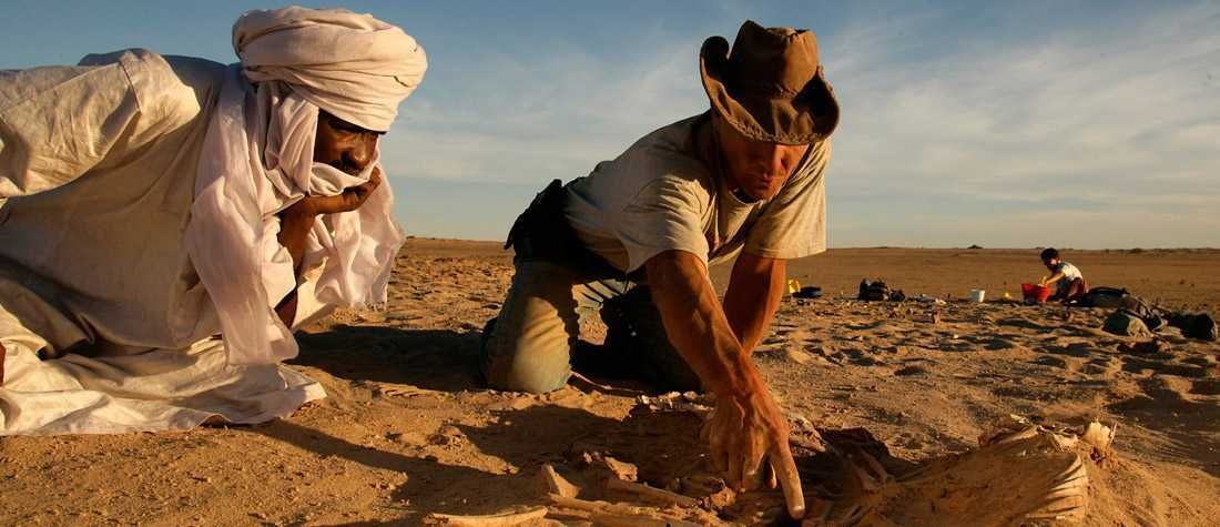 Skeletonsofsahara