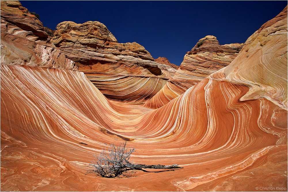 The Wave