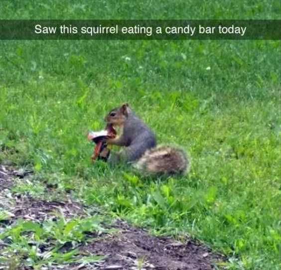 Adorable Animal Pictures Living His Best Life