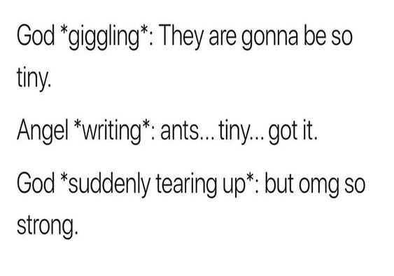 Funny Life Quotes 2 Ants