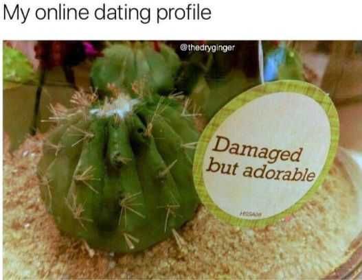 Funny Damaged Adorable