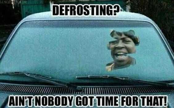 Funny Defrosting