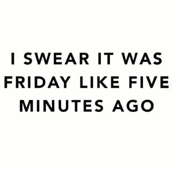 Funny Life Quotes And Sayings 7 Friday Five Minutes
