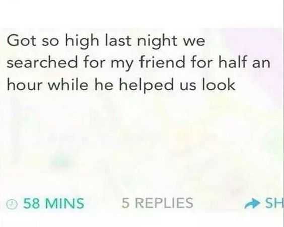 Funny Life Quotes 6 High Searched