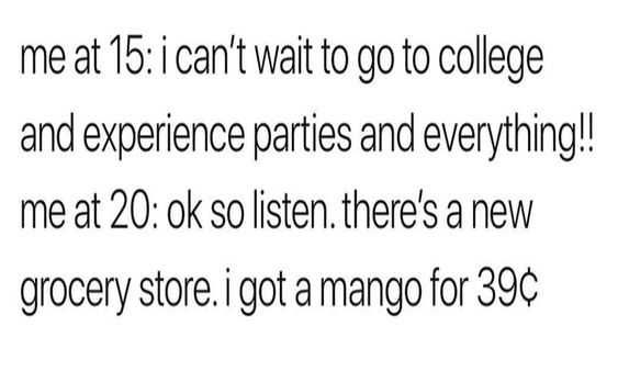 Funny Life Quotes 8 Mango