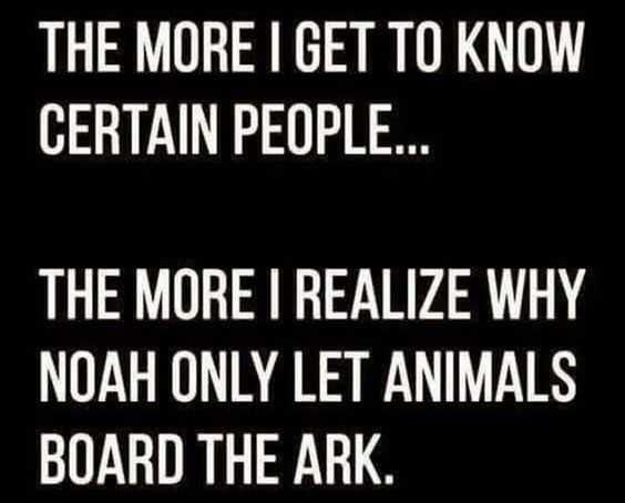 Funny Life Sayings 1 Noah