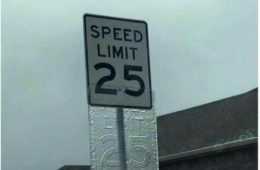 Funny Sign Post Dies