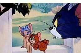 Funny Single Tomjerry