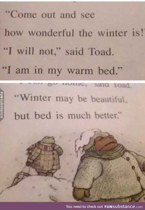 Funny Toad Frog