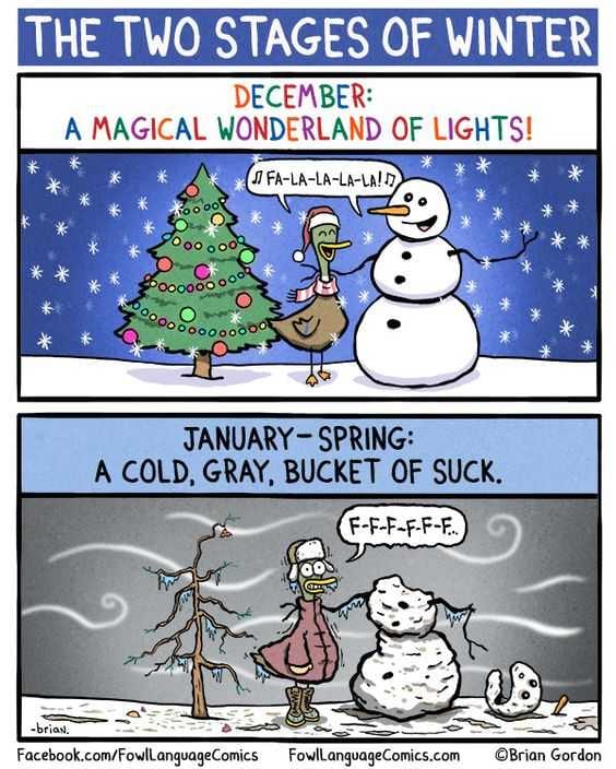 Funny Winter January