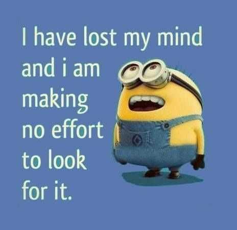 Minion Memes Losing My Mind