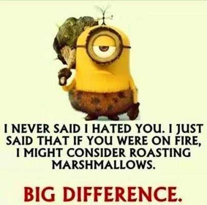 Minion Memes Clean Fun