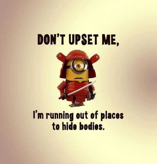 Minion Quotes Funny Jokes Don'T Upset Me