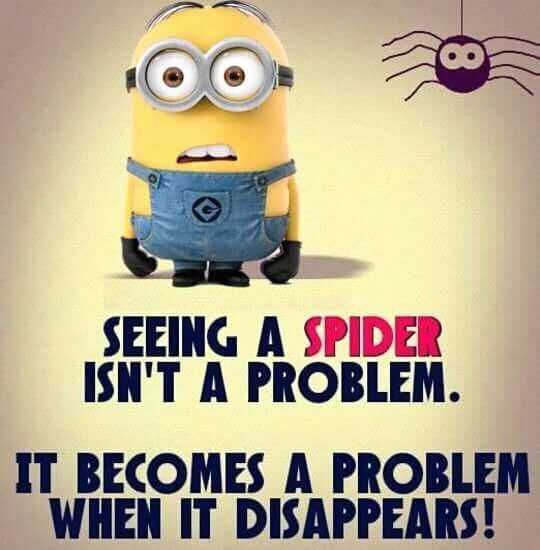 Funny Minion Memes Spiders And Arachniphobia