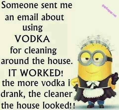 Minion Memes Alcohol Is A Cleaning Solution