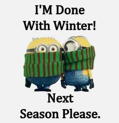 Funny Minion Memes Moving Along With Seasons