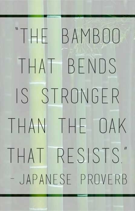 Positive Affirmations Bend Like Bamboo