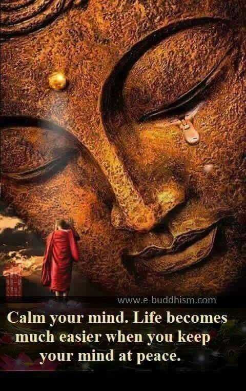 Incredible Quotes Life With Calm Mind Is Easier