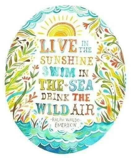 Illustrated Inspirational Quotes 9
