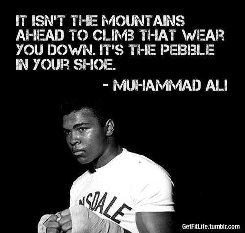 Quotes About Focus