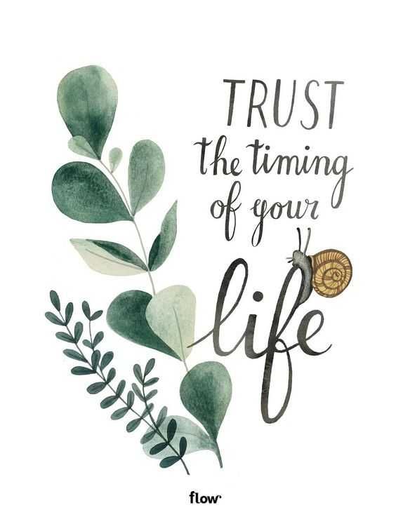 Illustrated Inspirational Quotes 3