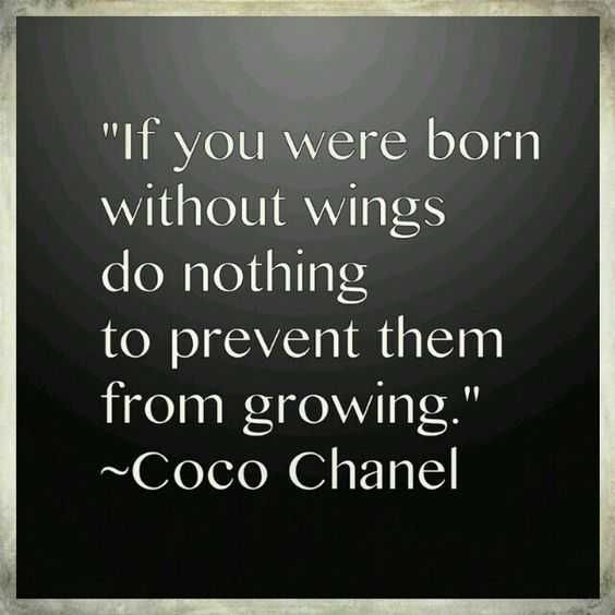 Amazing Motivational Quotes 5 Without Wings