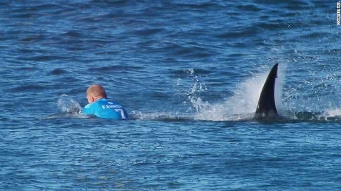 Unbelievable Photos Surfing Companion