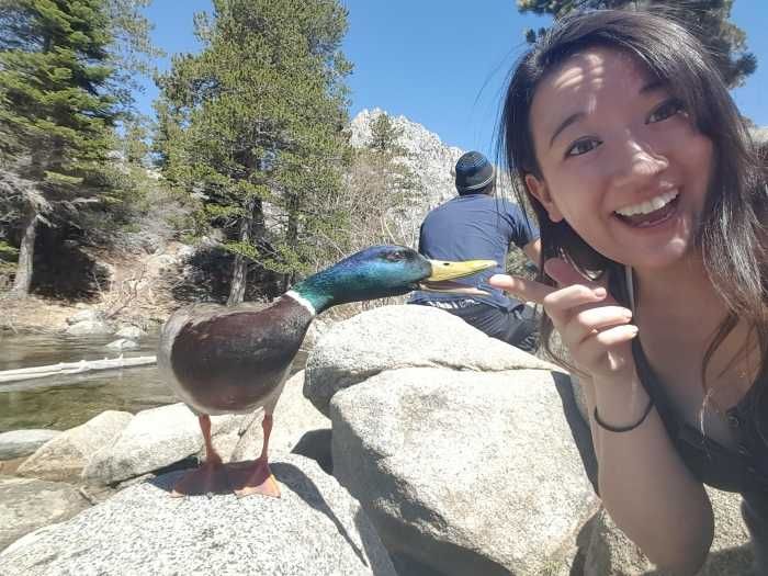Unbelievable Photos Rude To Point