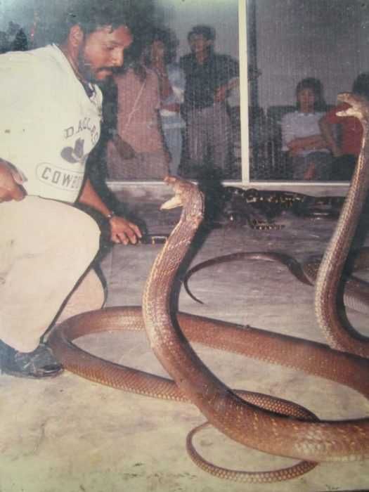 Unbelievable Photos Once Bitten Twice Dead