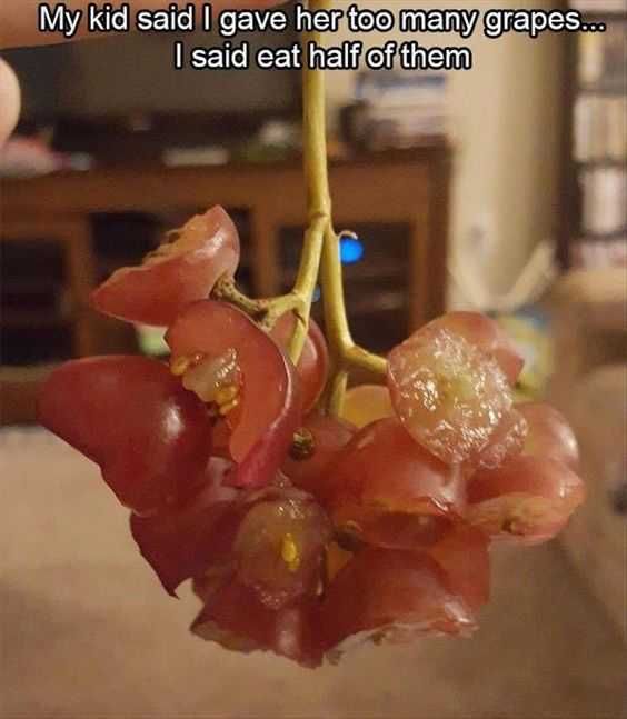Funny Kid Pics Eat Half