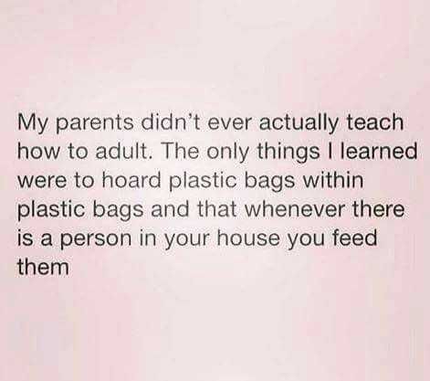Being An Adult Memes Parental Advice?