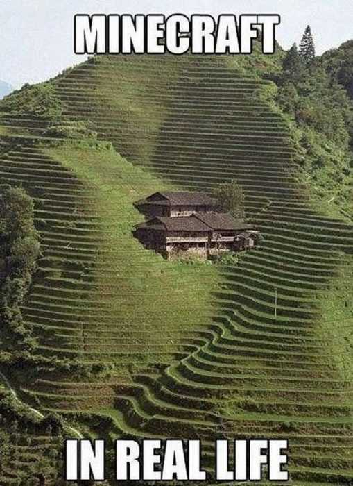 Funny Memes And Pictures 8 Real Life Minecraft