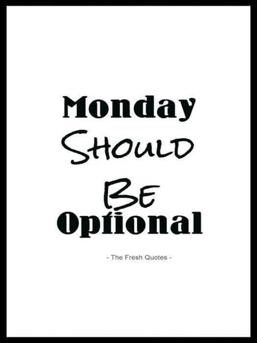 Funny Sayings About Life Monday Optional