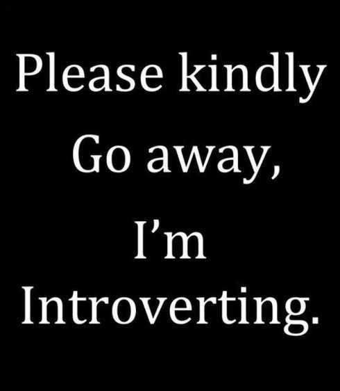 Funny Quotes About Life In General Busy