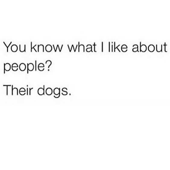 Funny Life Quotes Dog Lovers