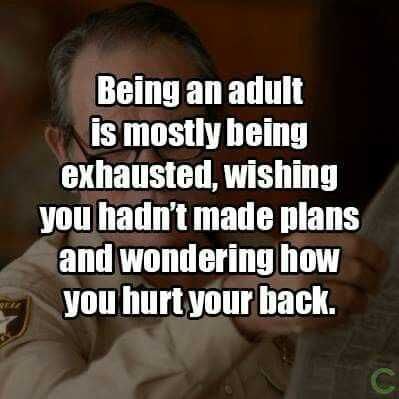 Being An Adult Memes Plans And Back Pain