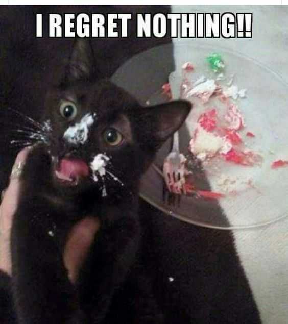 Funny Images Clean No Regrets
