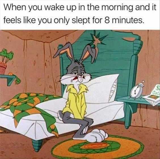 Funny Images Clean Mornings