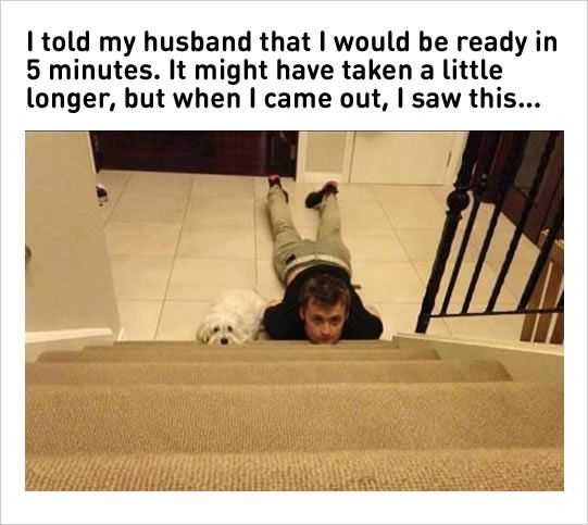 Hilarious Marriage Memes Husband And Dog