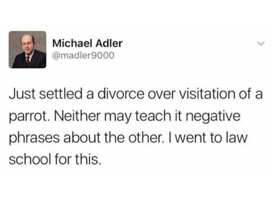 Funny Marriage Meme Divorce