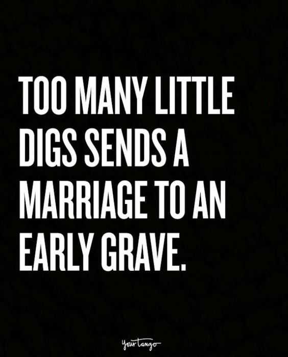 Hilarious Marriage Meme Little Digs