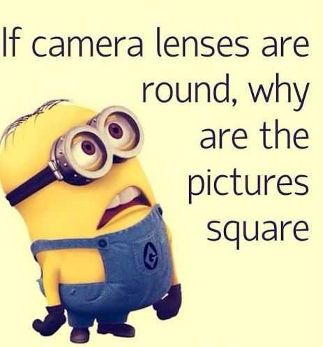 Minion
