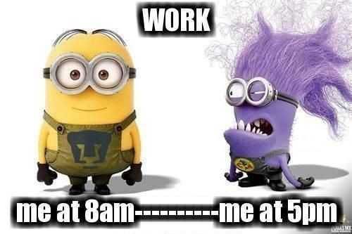 Funny Minion Memes Clean Work
