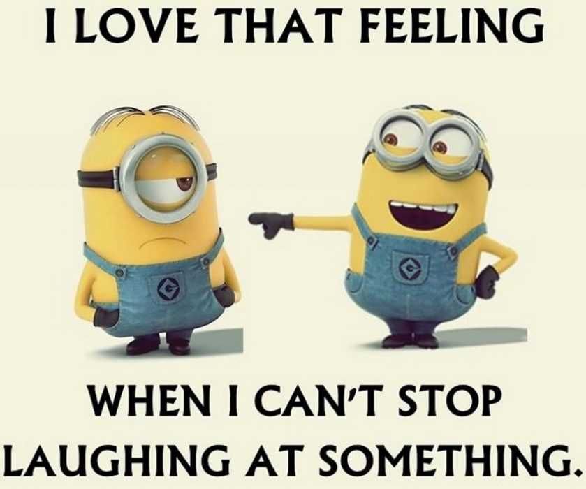 Minions Memes Funny Can'T Stand Laughing