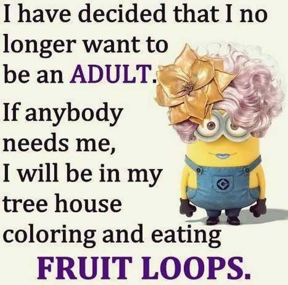 Funny Minion Memes Clean Being An Adult