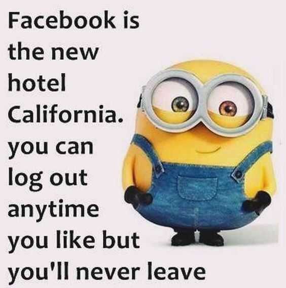 Minion Hotel California