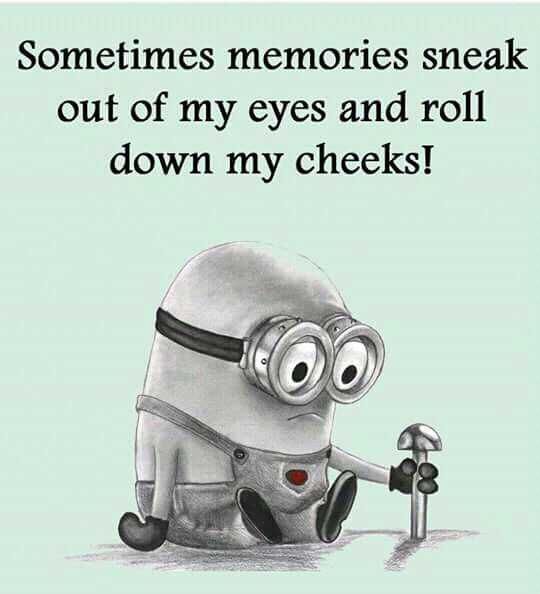Minion Quotes And Memes Memories Sneak