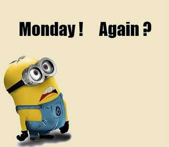 Funny Minion Memes Clean Monday Again?